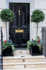 Bay.tree.topiary.planters