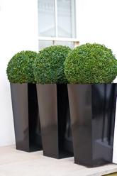 Box.ball.polystone.planters