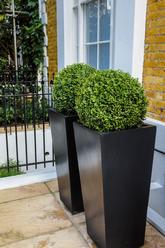 Box.in.contemporary.planters