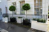 Metal.planters.with.Bay.trees