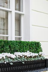 custom window boxes