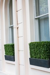 window box displays