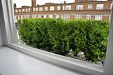 buxushedgeinhighgalvanizedsteelplanters