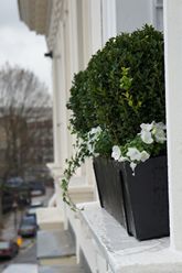 polystonewindowbox